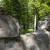 Peruc 17.jpg